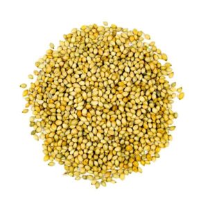 Kusha Coriander Seeds [Roasted]