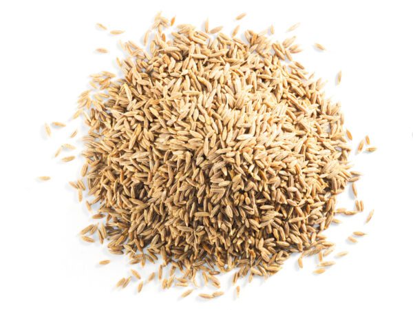 Kusha Cumin Seeds [Roasted]