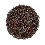 Mustard Seeds