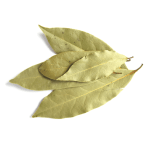 Kusha Original Indian Bay Leaf