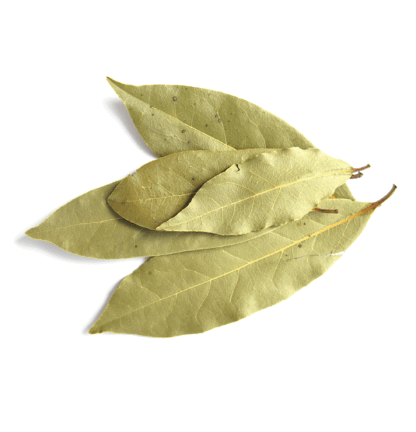 Kusha Original Indian Bay Leaf