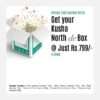 Kusha North De Box