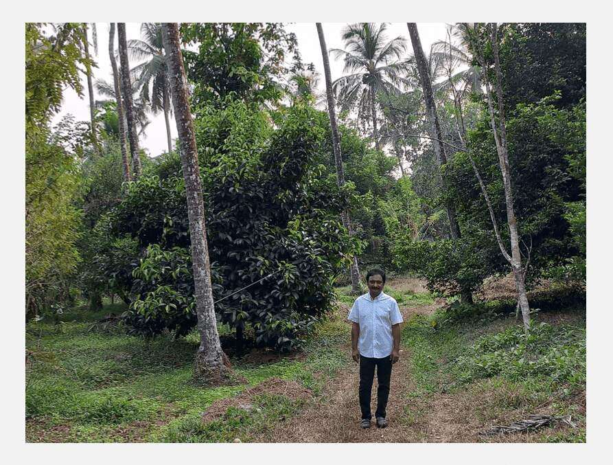 Suresh